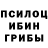Галлюциногенные грибы мицелий Gufasto