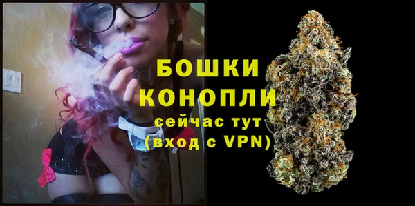 apvp Надым